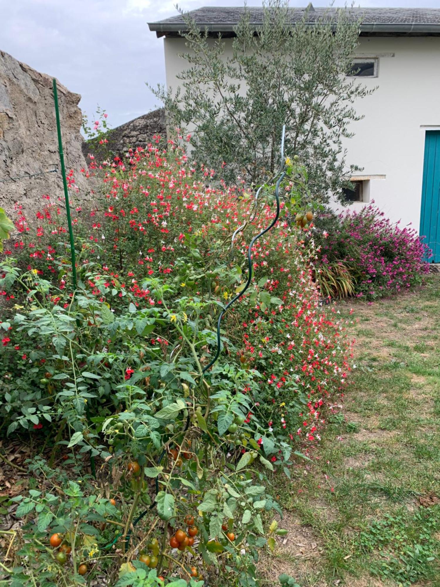 Chambre D'Hotes Les Petits Oiseaux Nantes Kültér fotó